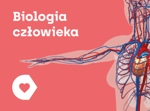 APLIKACJA CORINTH - BIOLOGIA CZŁOWIEKA