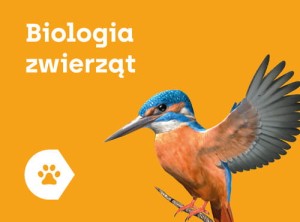 APLIKACJA CORINTH - BIOLOGIA ZWIERZĄT