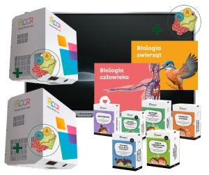 Zestaw specjalne potrzeby edukacyjne SPE 6