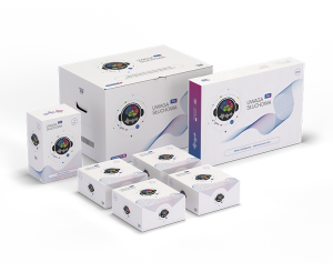 Uwaga Słuchowa PRO ( diagnoza + terapia) 4.0