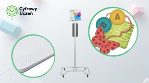 Zestaw 1 (W) -  Aktywna przestrzeń ruchowa